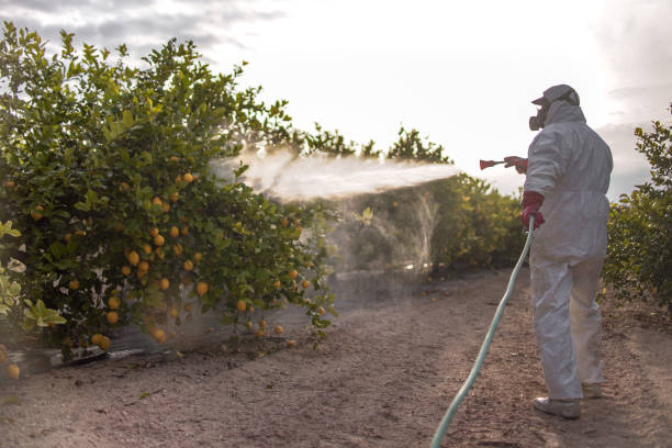 Best Pest Exclusion Services  in Lost Hills, CA